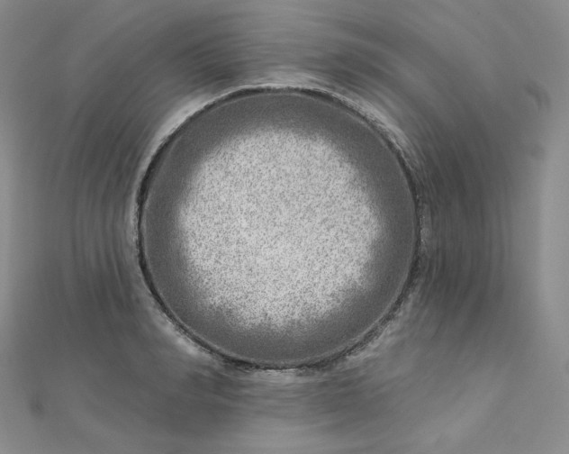X0000112760990200909031544