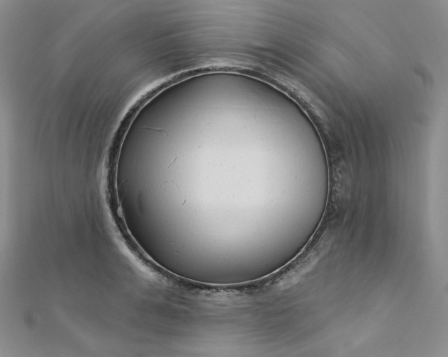 X0000112760991200909031544