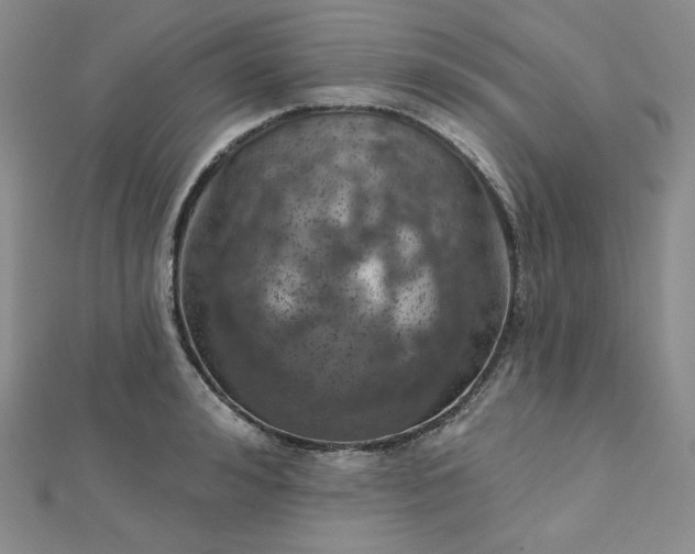 X0000112760992200909031544