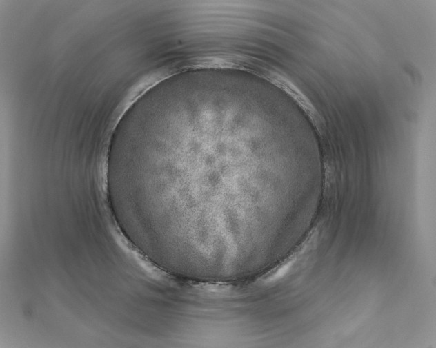 X0000112760994200909031544