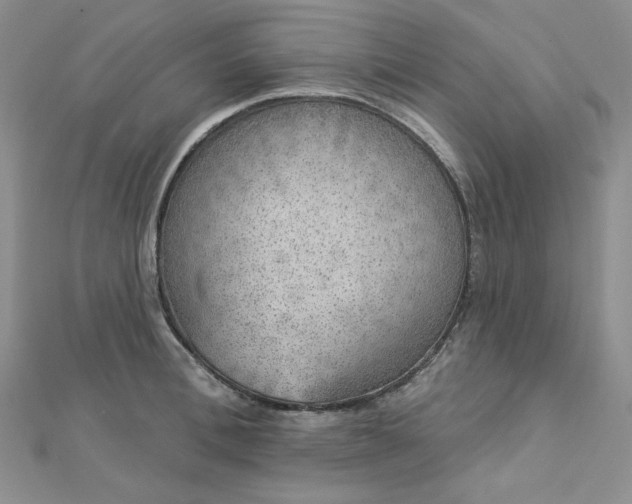 X0000112760996200909031544