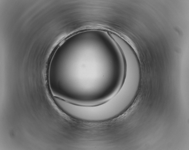 X0000112760997200909031543