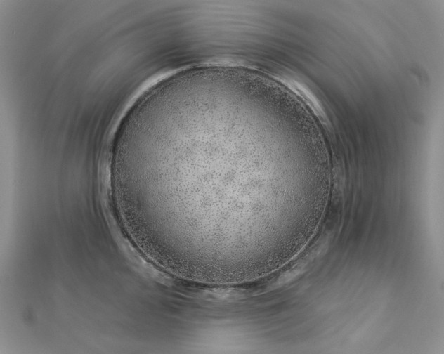 X0000112761000200909031543