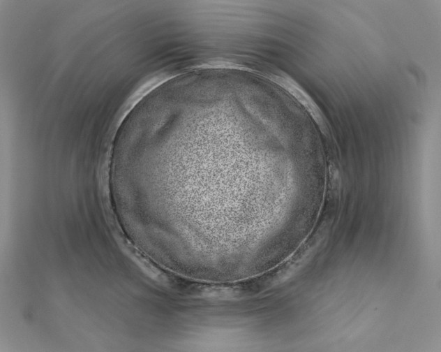 X0000112761002200909031543
