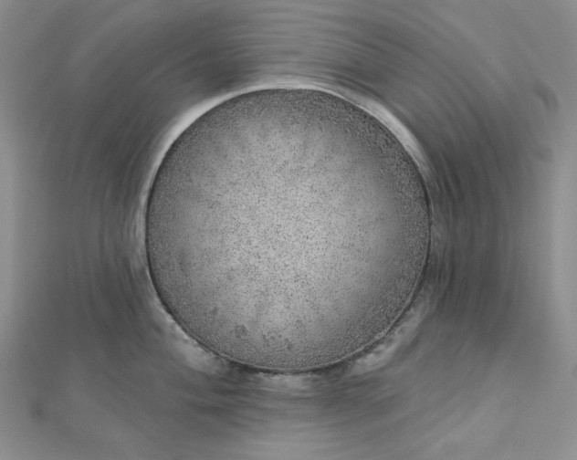 X0000112761004200909031543