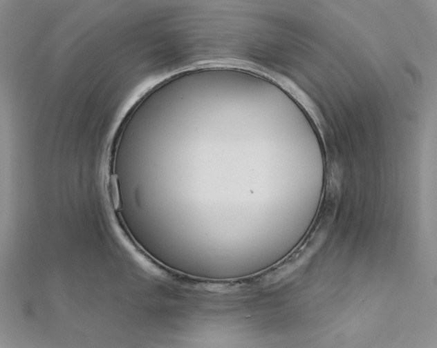 X0000112761005200909031543