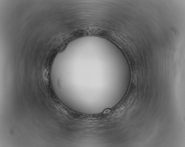 X0000112761010200909031543
