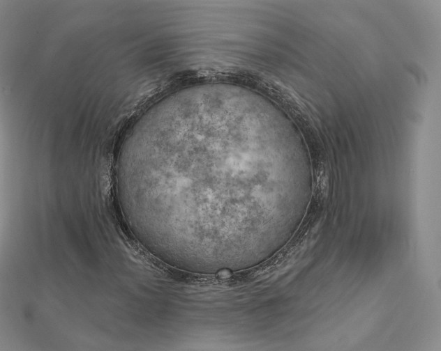 X0000112761012200909031543