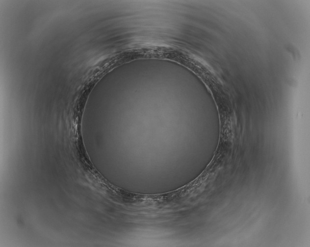 X0000112761013200909031543