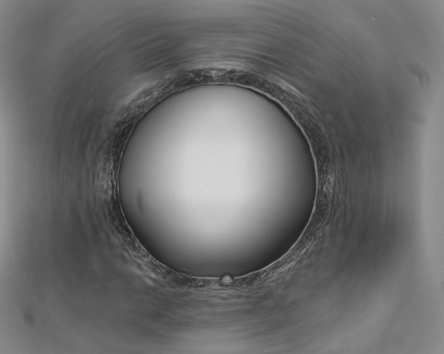 X0000112761014200909031543