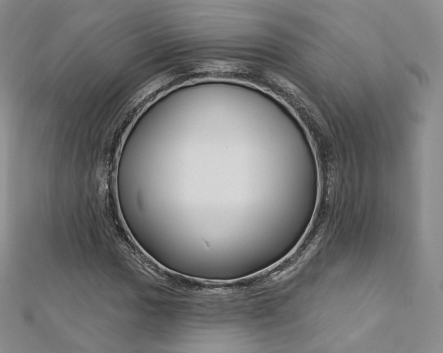 X0000112761017200909031543
