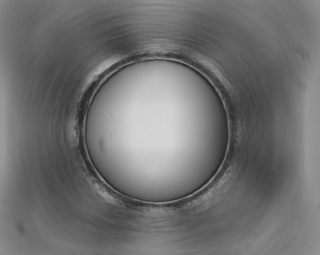 X0000112761018200909031543