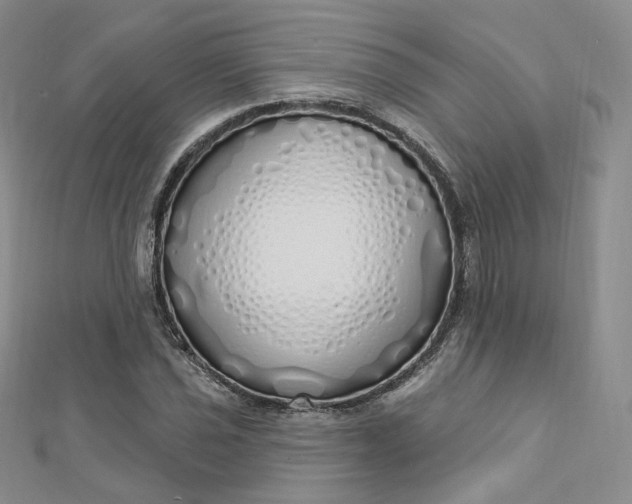 X0000112761021200909031543