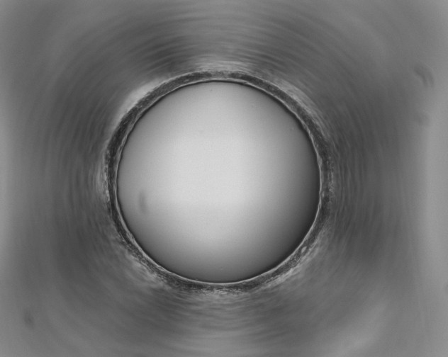 X0000112761022200909031543