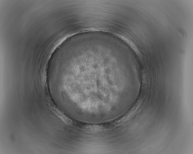 X0000112761023200909031543