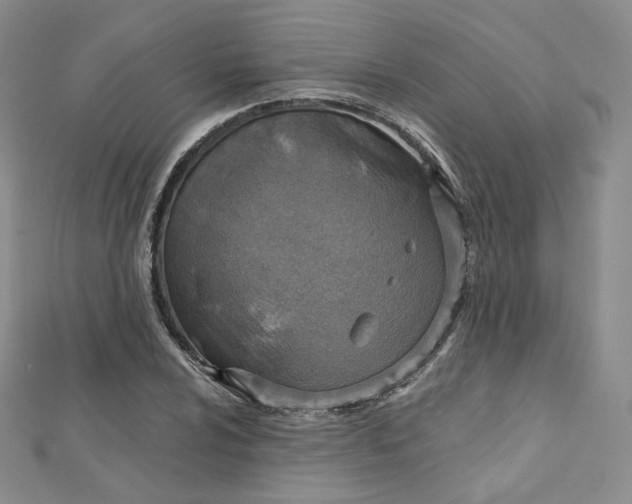X0000112761024200909031543