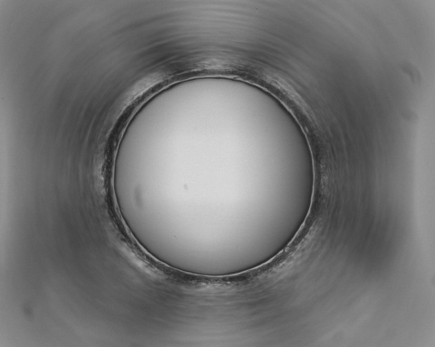X0000112761026200909031543