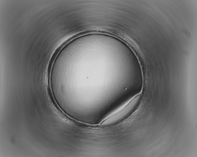 X0000112761028200909031543