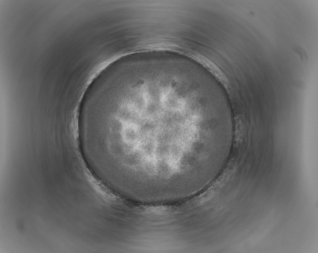 X0000112761031200909031543