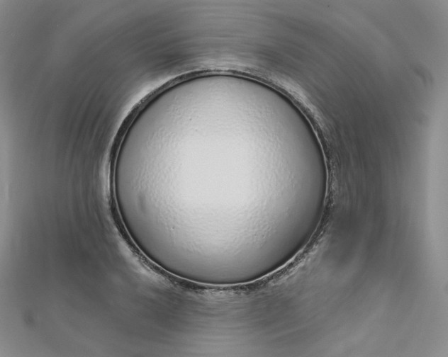 X0000112761032200909031543