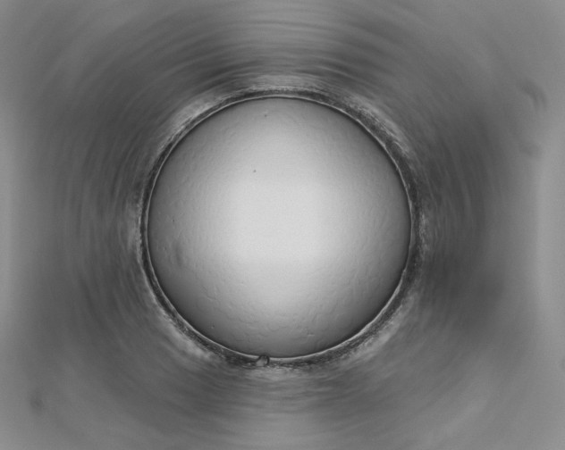 X0000112761033200909031543