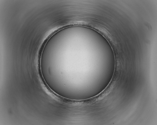 X0000112761038200909031543