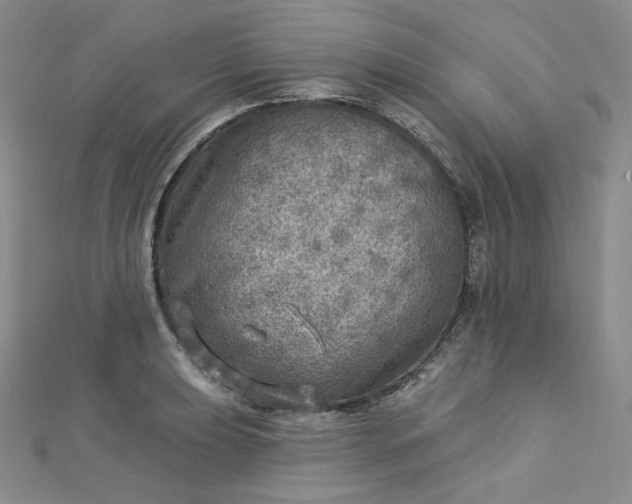 X0000112761039200909031543