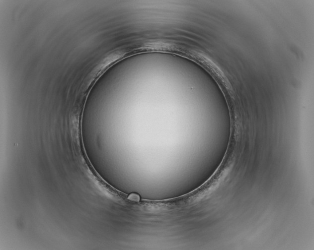 X0000112761041200909031543
