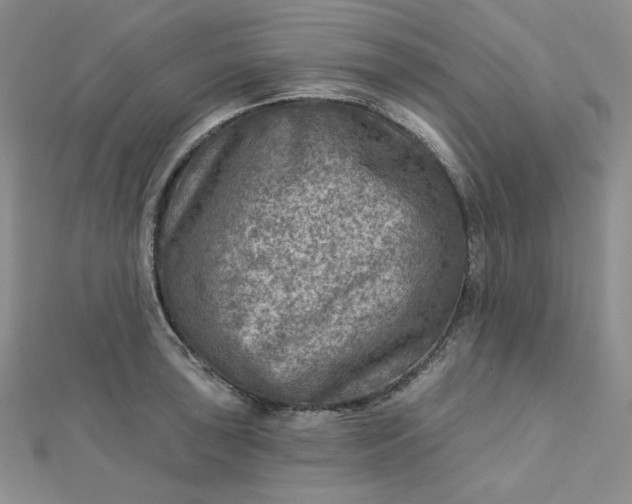 X0000112761043200909031543