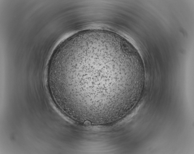 X0000112761045200909031543