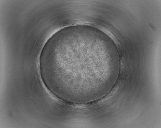 X0000112761047200909031543