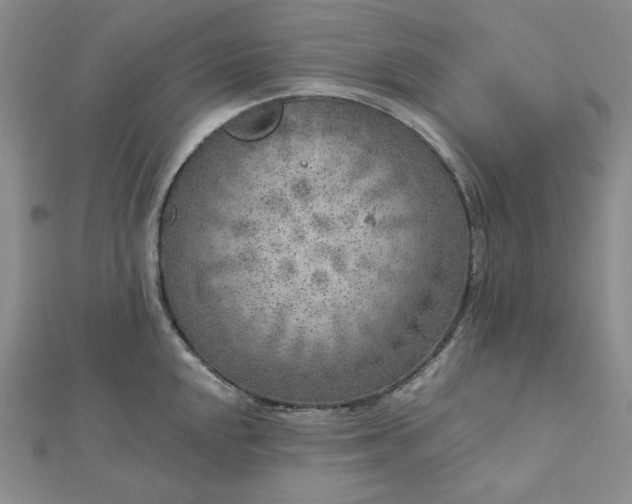 X0000112761048200909031543