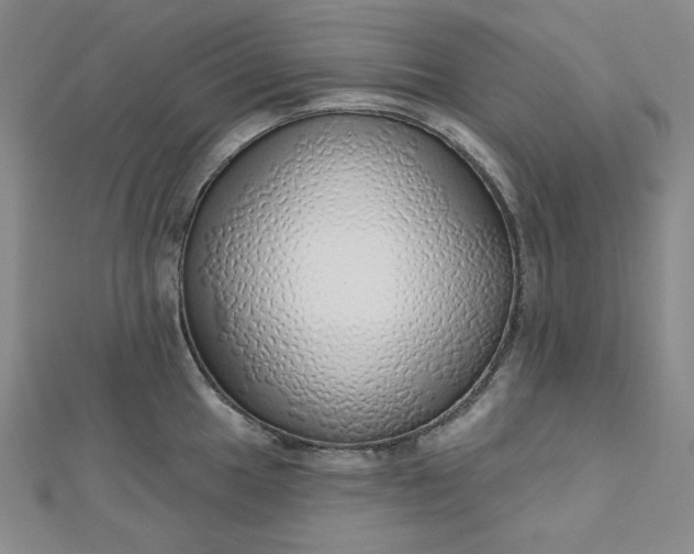X0000112761049200909031543