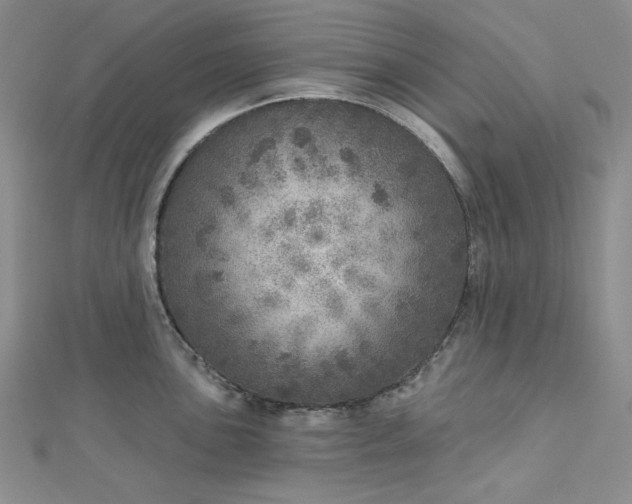 X0000112761051200909031543