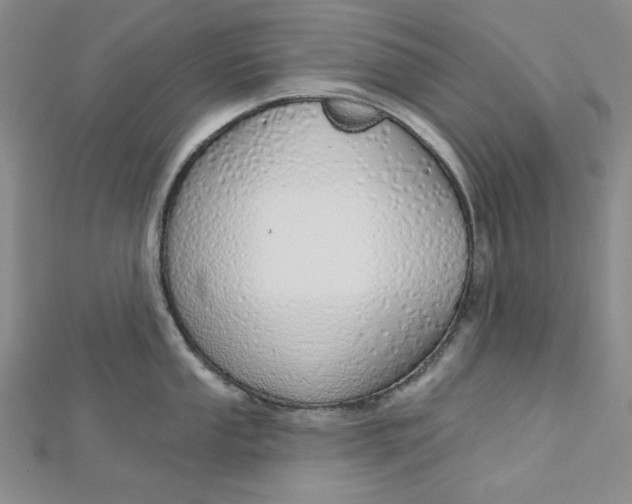 X0000112761053200909031543
