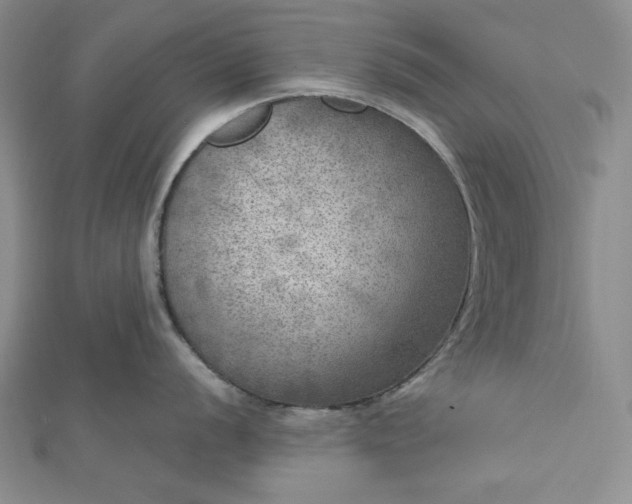X0000112761056200909031543
