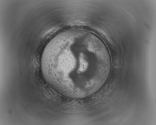 X0000112761063200909031543