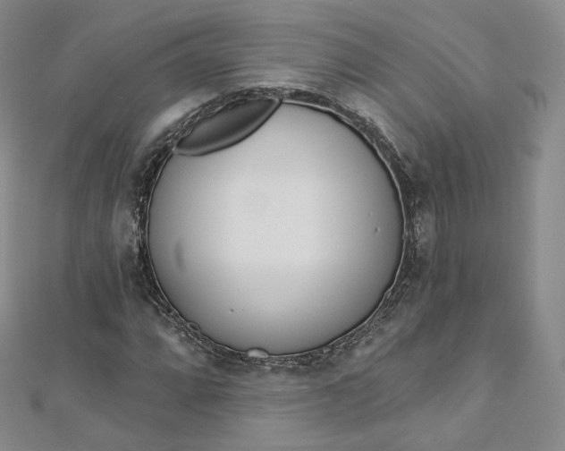 X0000112761064200909031543