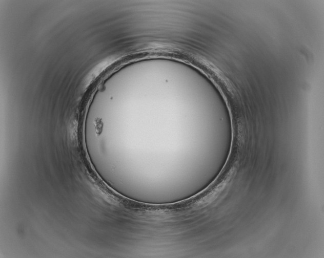 X0000112761066200909031543