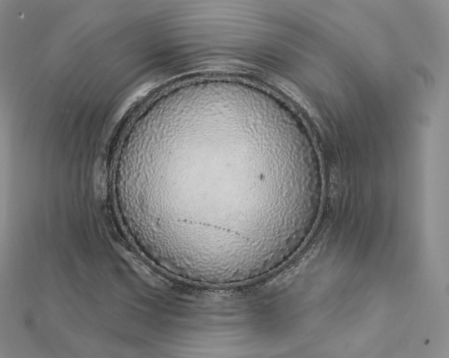 X0000112761067200909031543