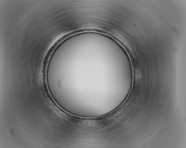 X0000112761068200909031543