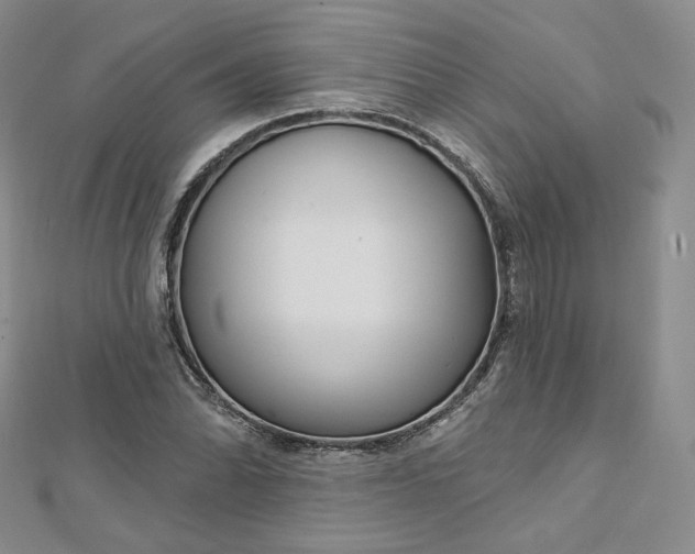X0000112761070200909031543
