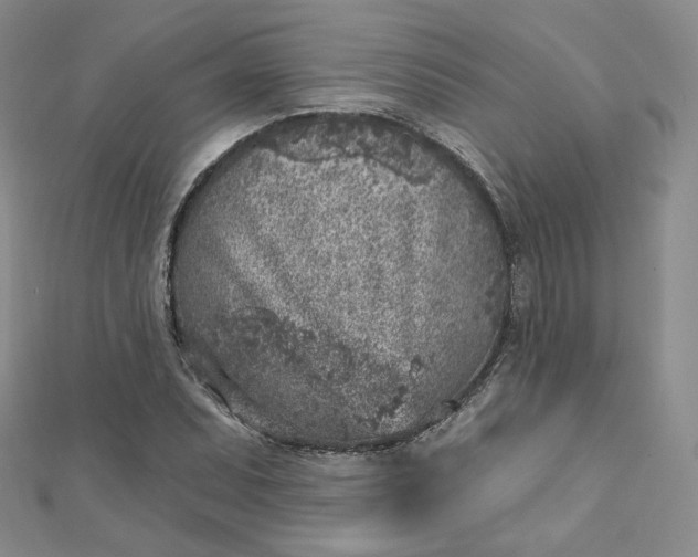 X0000112761071200909031543