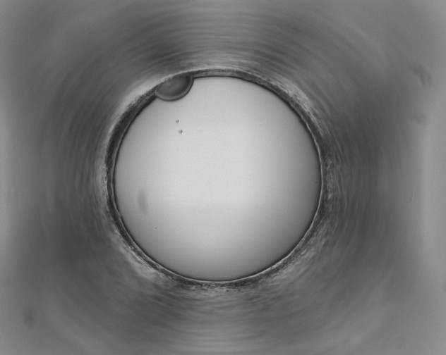 X0000112761072200909031543