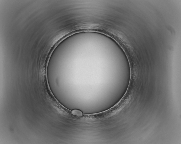 X0000112761073200909031543