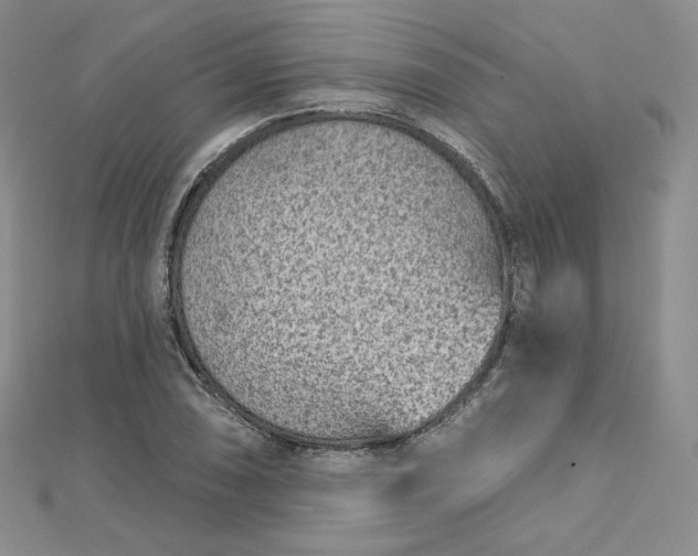 X0000112761074200909031543