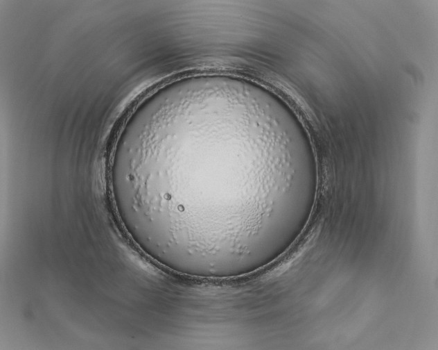 X0000112761075200909031542
