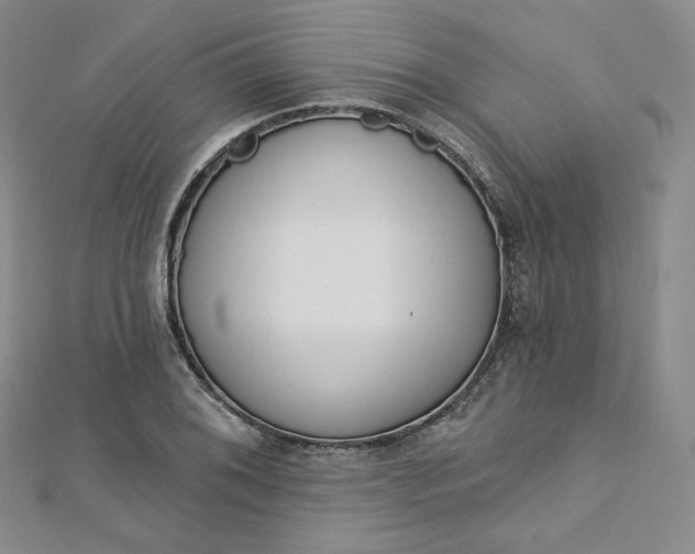 X0000112761076200909031542