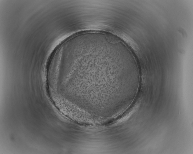X0000112761077200909031542