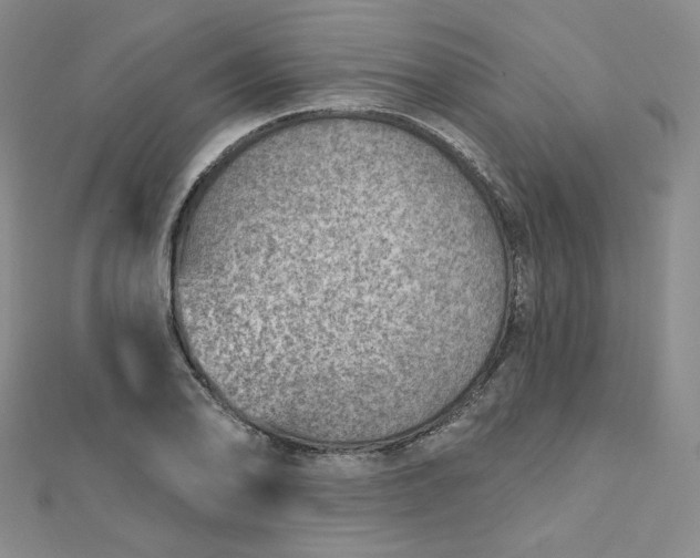X0000112761078200909031542